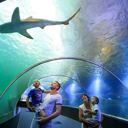 Vue Dégagée #0 * Boulogne-sur-Mer