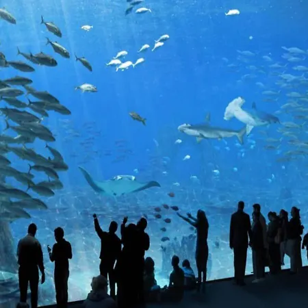 Vue Dégagée #0 Apartamento